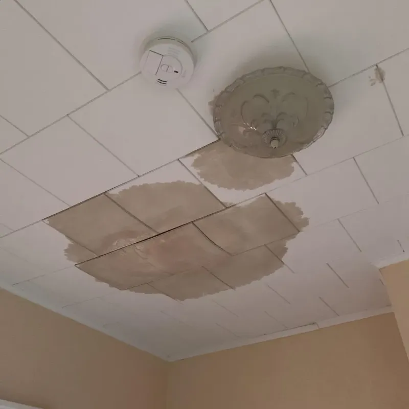 Ceiling Water Damage Repair in Standish, MI